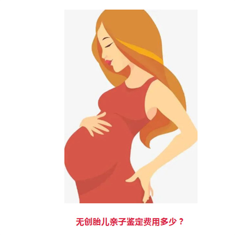 北京无创dna胎儿亲子鉴定哪个机构做更权威一些？